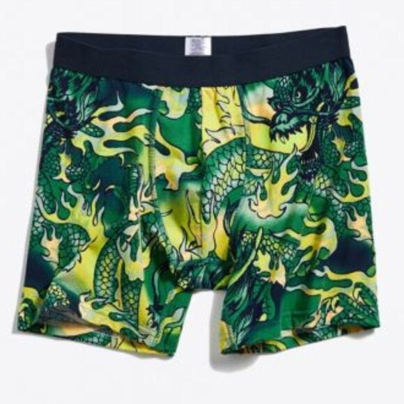 NWT UO Urban Outfitters Dragon Print Boxer Brief S - Picture 1 of 2